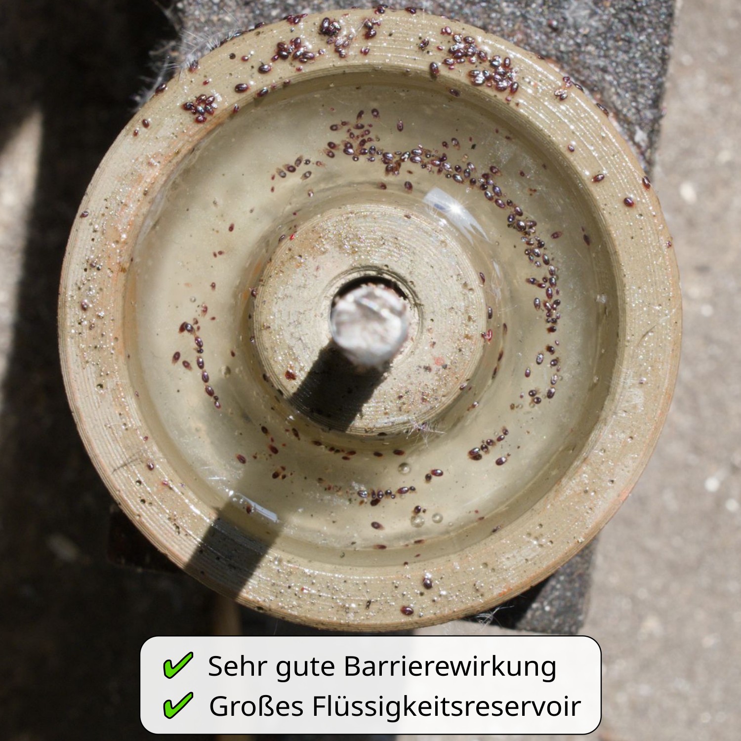 Milbensperre barrierewirkung